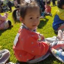 정남농촌체험휴양마을 이미지