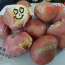 서영2농장 이미지