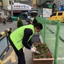 구매탄시장 이미지