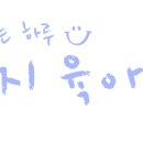 더루트파트너스
