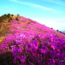 산내들산악회 제 31차 정기산행 창원 천주산 이미지