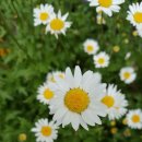 상봉1동주민센터 이미지