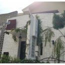 사파동266 이미지