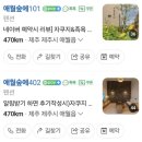 애월숲에101 이미지