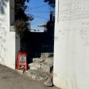 하우스오브컨티뉴(house of continew) | 파주 드라이브 추천 일산 루프탑 대형 카페 하우스 오브 컨티뉴