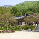 재약산 네이버블로그