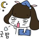 닥터호오동물병원 네이버블로그
