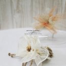 목련헤어라인 이미지