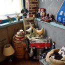 꼼지락제주
