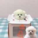 포레그스(삼송점) 이미지