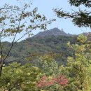 콩브로
