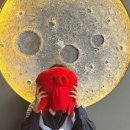 수월애 쭈꾸미 이미지