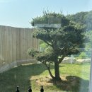 홍천감성공간 이미지