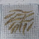 우주상사 이미지