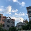로이(Roi)