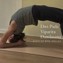 아무브요가(our movement yoga) 네이버블로그
