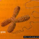 생명예찬1 이미지