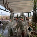 동진 당구장 이미지