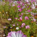 임홍준한의원 이미지