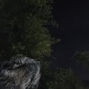 이시아동물병원 이미지