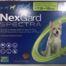 시지동물약국 이미지