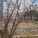 빽다방수원금곡칠보점 - 36529 | 빽다방 수원금곡칠보점 /원조빽스치노 후기