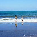 삼양해수욕장 이미지