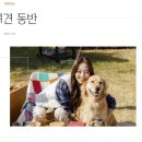 별그리고남해 이미지