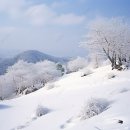 겨울산 이미지 이미지