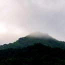 진동계곡산장