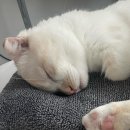 금비한의원 이미지