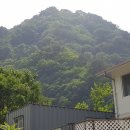 미천골산울림펜션 이미지