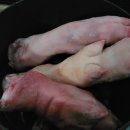 꽃보다족발 이미지