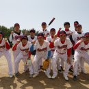 보성군청 이미지