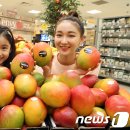최명환농장 뉴스1