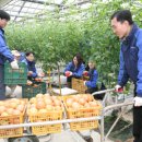 조성봉농장 이미지