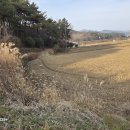 장산마을