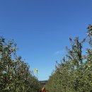 손수현농장 이미지