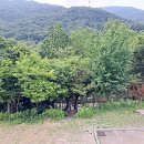 천장어(북한산점)