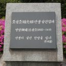 개척자의 슬픈 운명, 조광조와 그 가족