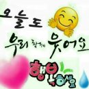 김호증모 가발 수정 헤어