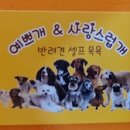 예쁘개&사랑스럽개 이미지