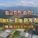 일교차의 습격! 끈적해지는 피를 맑게 하라! [천기누설] 이미지