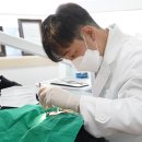 서울익투스치과 티스토리