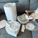 펫메이트(주) 이미지