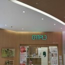 캣플 동탄점 | 라크몽 캣플 동탄점 후기, 음료 포함이라 합리적인 동탄 고양이카페