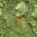 화전농장 이미지