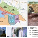 시장교1 Daum카페