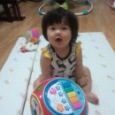 스타일펫 이미지