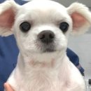 은계동물병원 이미지